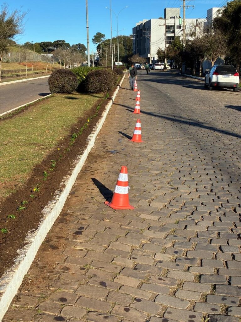 Nova Prata inicia revitalização do paisagismo em trevos, acessos e áreas centrais