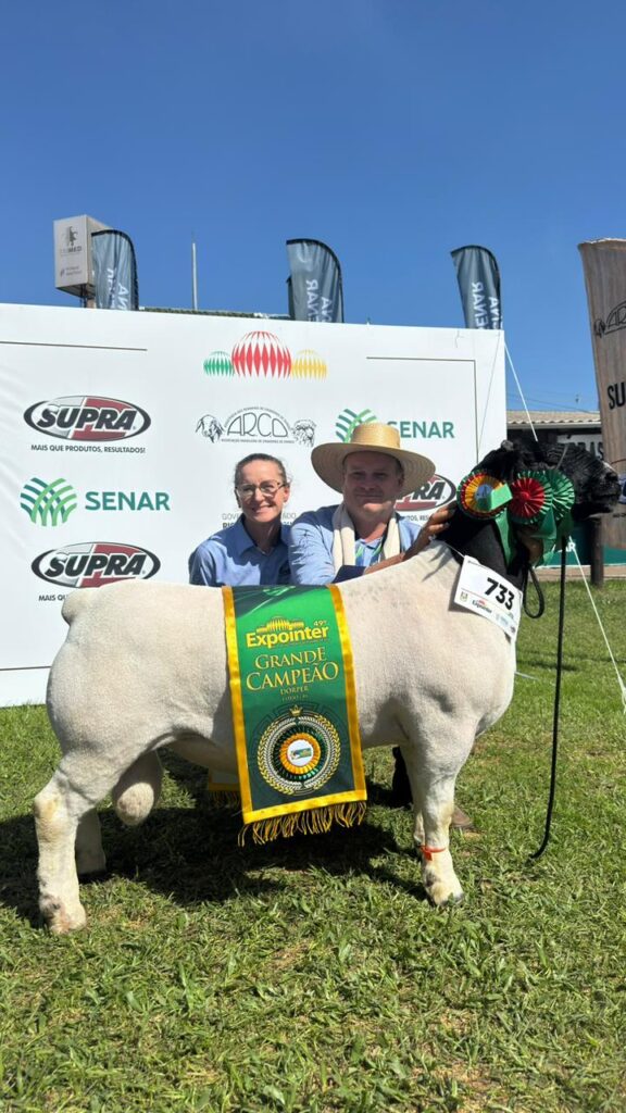 Cabanha Thomazoni conquista Grande Campeão da raça Dorper na Expointer 2026