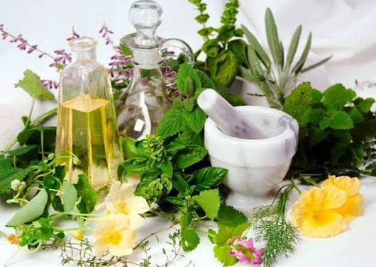 CASME promove oficina sobre plantas medicinais em Nova Bassano